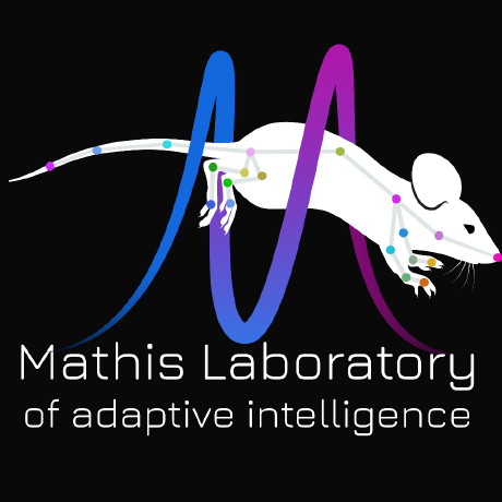 M-Lab of Adaptive Intelligence @ EPFL