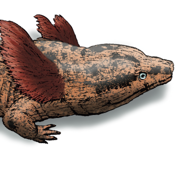 Building ML Pipelines