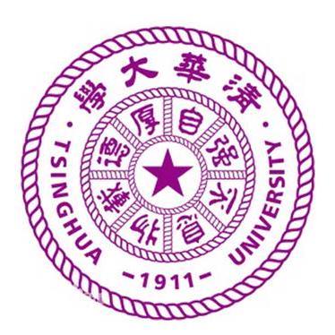 Tsinghua AI