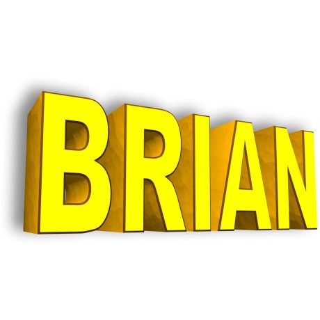 Brian simulator