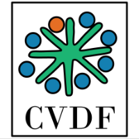 Common Visual Data Foundation