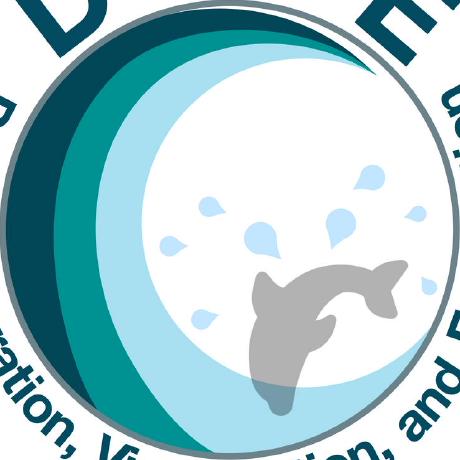 DIVE Lab, Texas A&M University