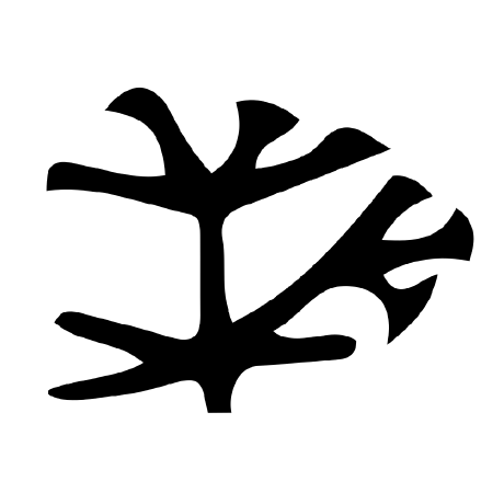 Laboratory of Evolutionary Design