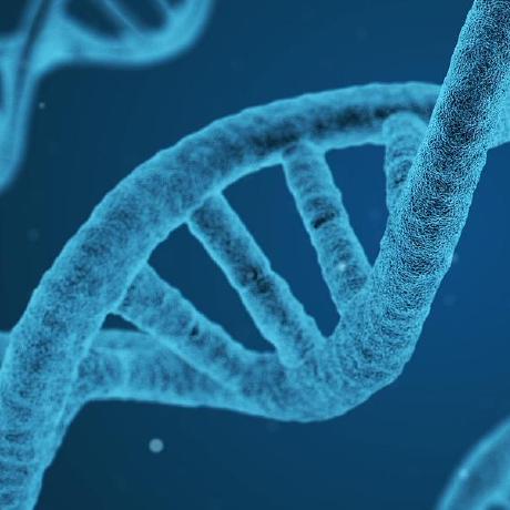 Franz Wilhelmstötter