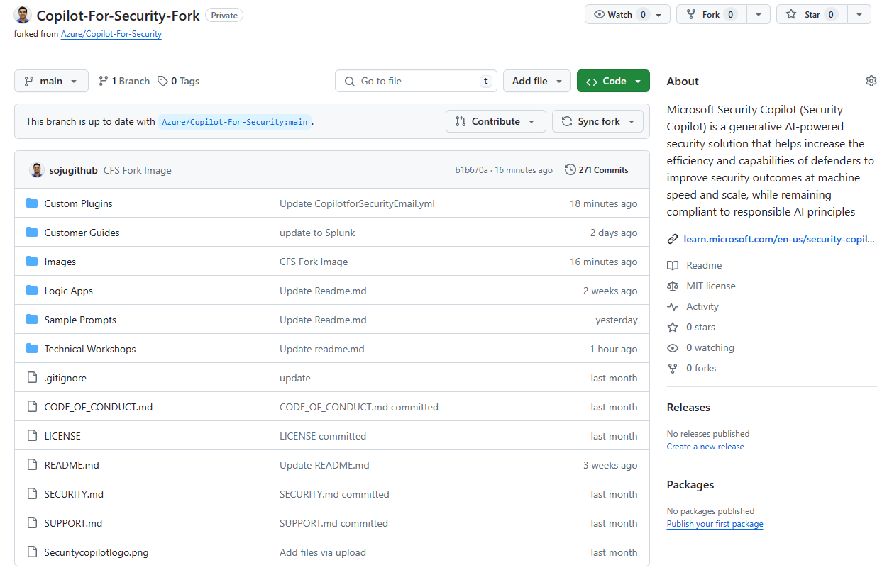 查看您的新 Fork