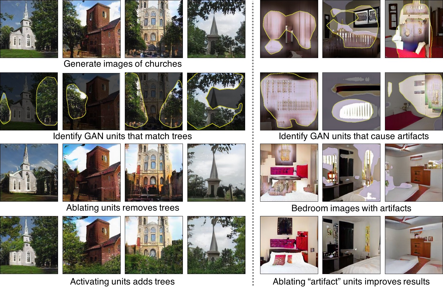 gandissect hero image