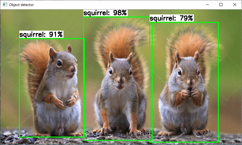 TensorFlow-Lite-Object-Detection-on-Android-and-Raspberry-Pi hero image