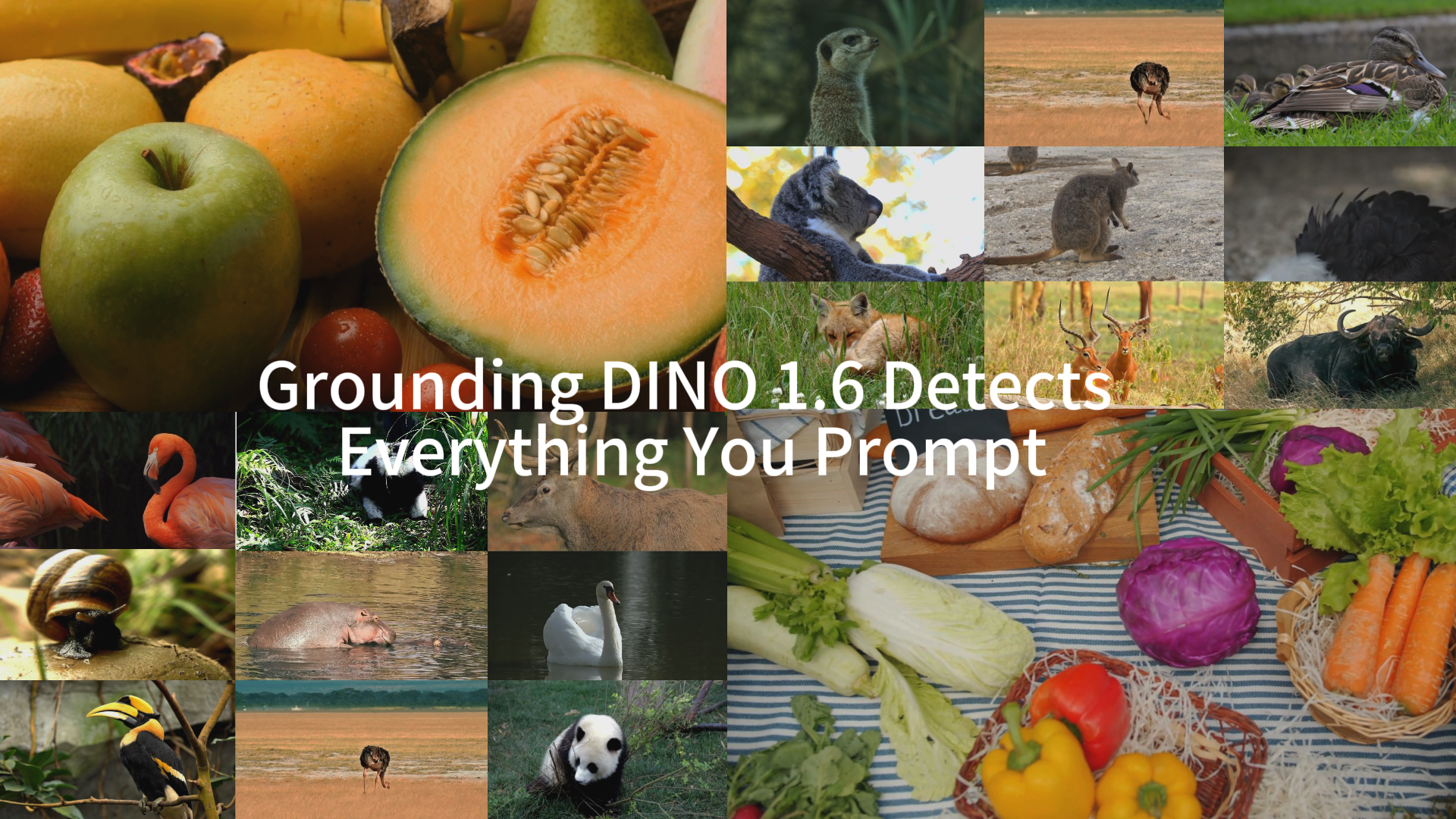 Grounding-DINO-1.5-API hero image