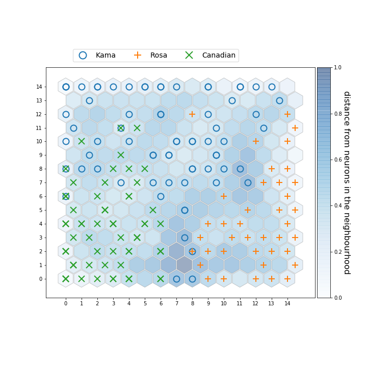 som hexagonal toplogy