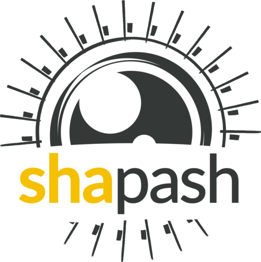 shapash hero image