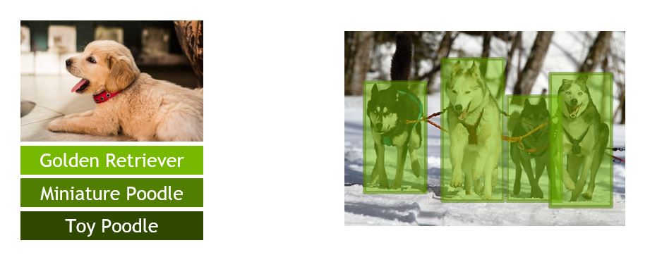 tf_trt_models hero image