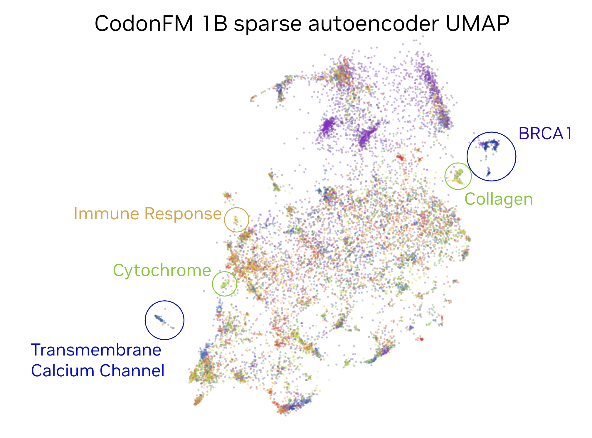 bionemo-framework hero image