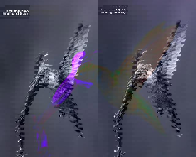 YoloDotNet hero image