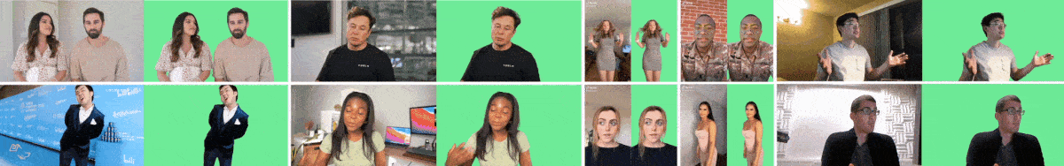 RobustVideoMatting hero image