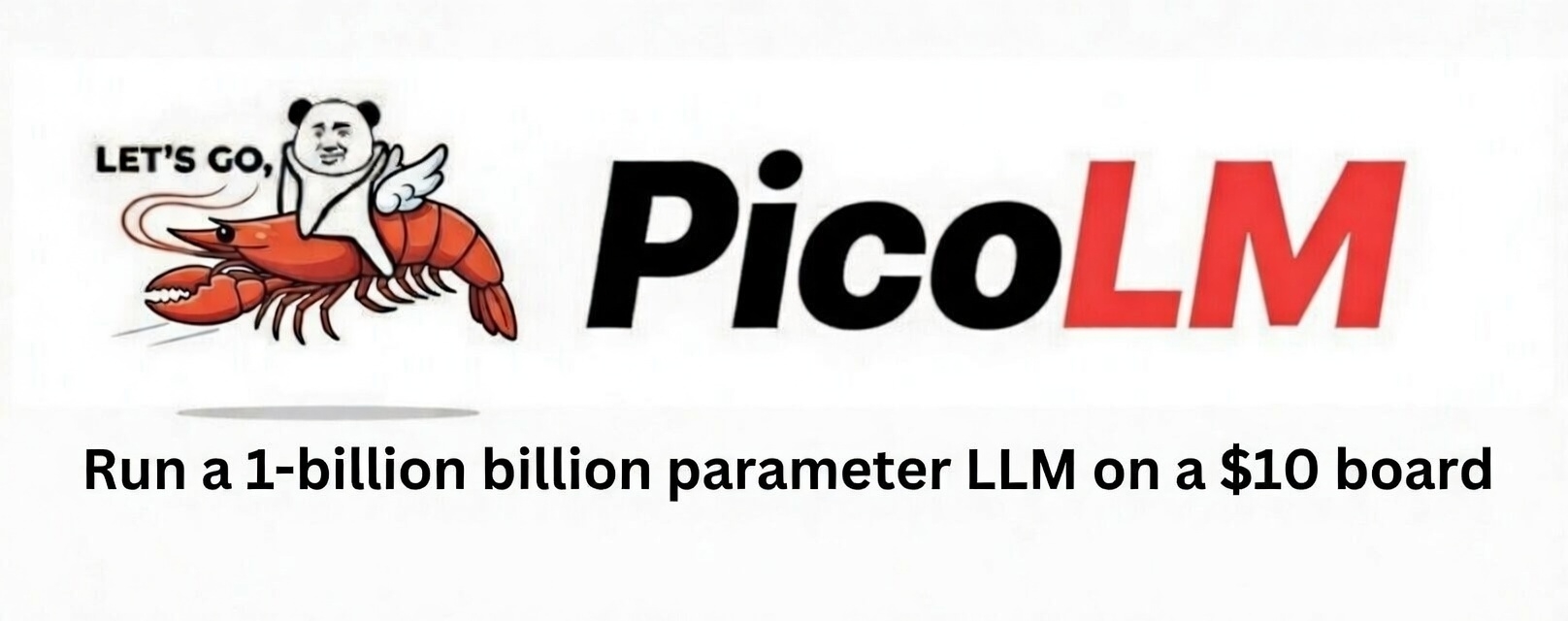 picolm hero image