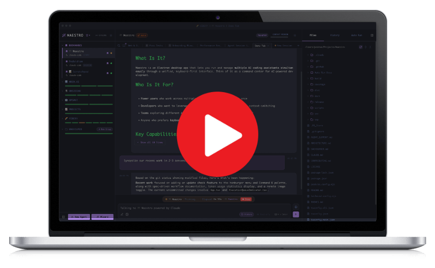 Maestro Video Thumbnail