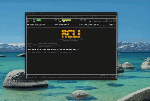 模型与基准测试演示
