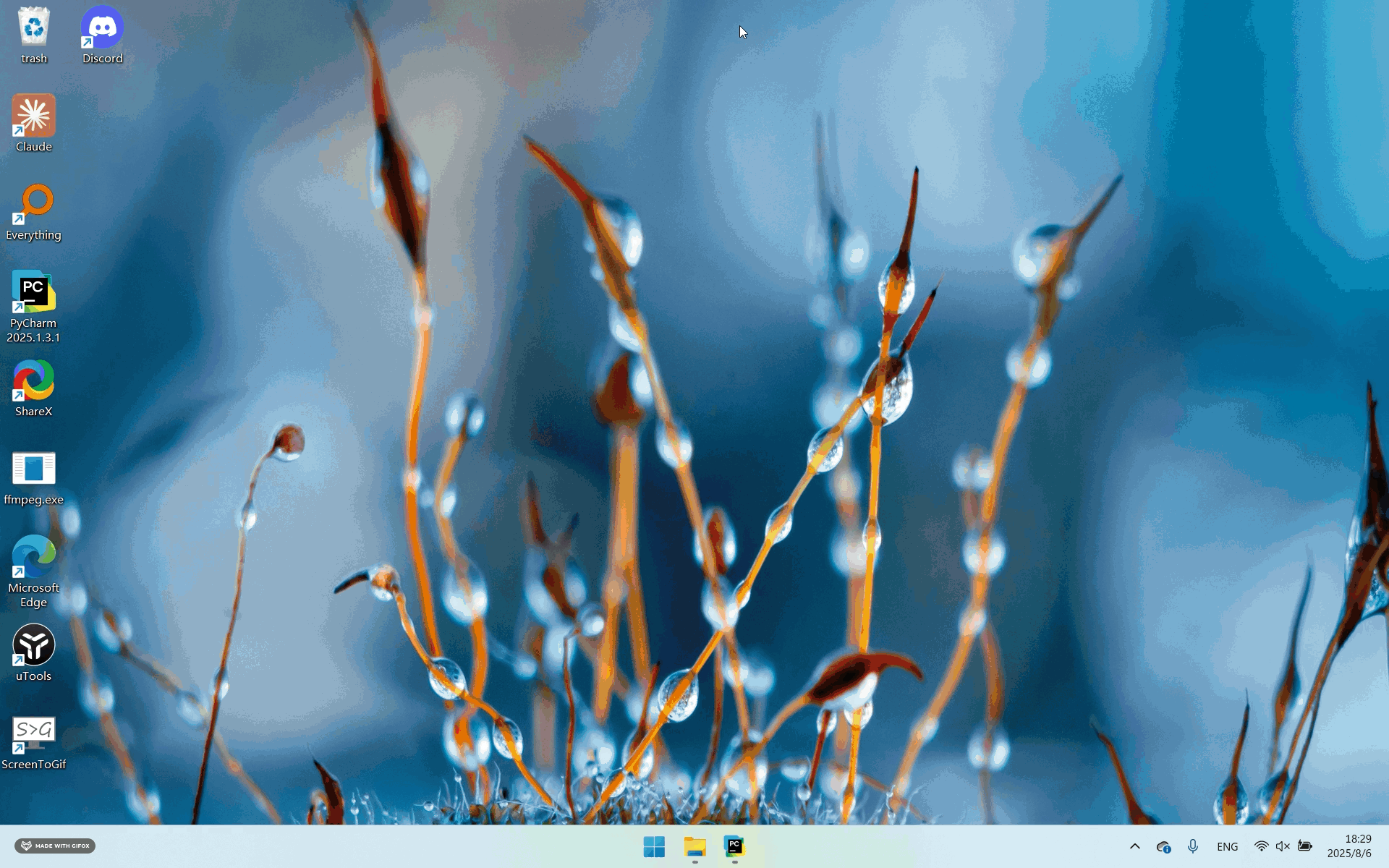 TuriX Windows 演示 - 视频搜索和分享