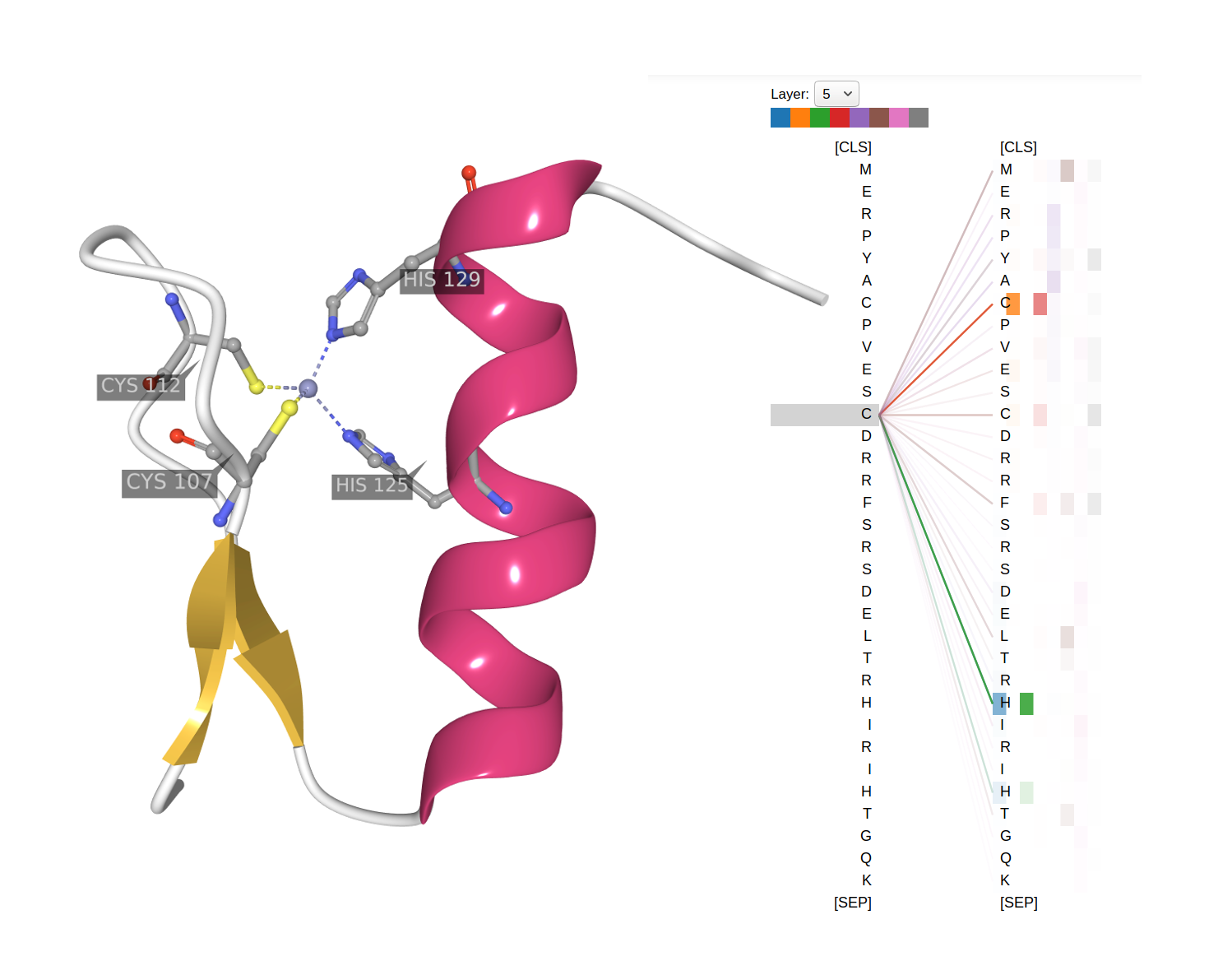 ProtTrans Attention Visualization