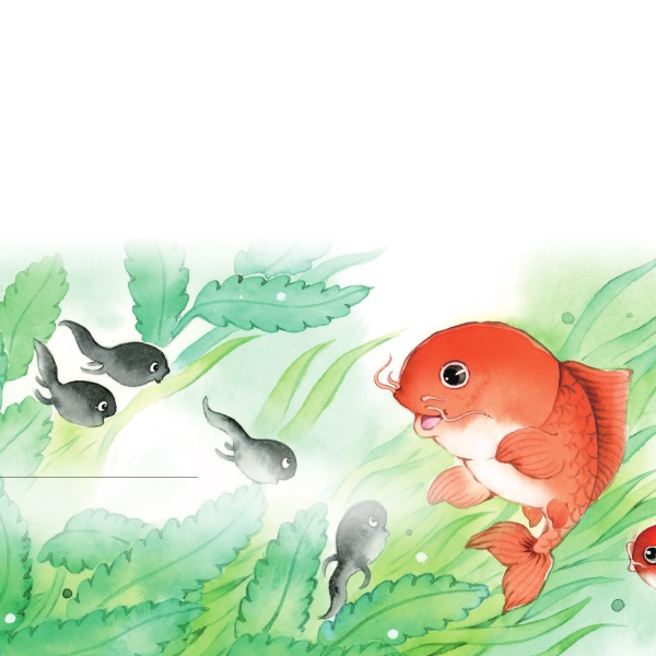 animate-anything hero image