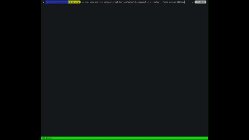 Kong：全球首个AI逆向工程师