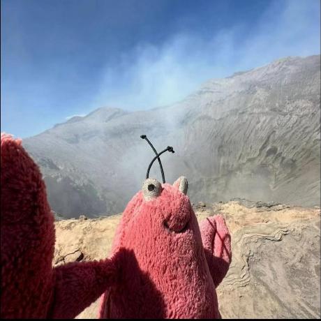 不关银渐层的事哦