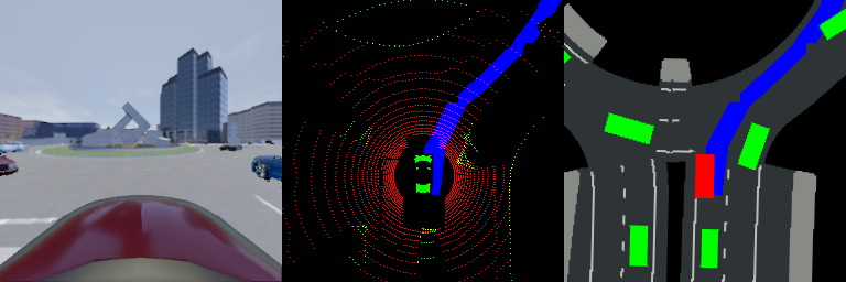 gym-carla hero image