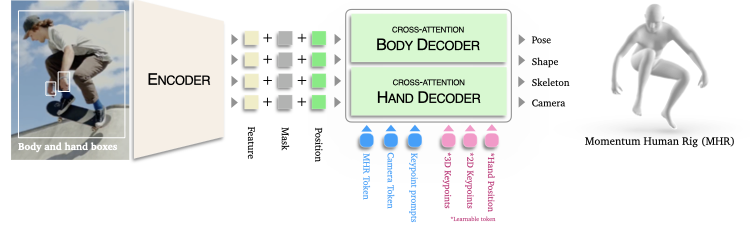 SAM 3D Body 模型架构