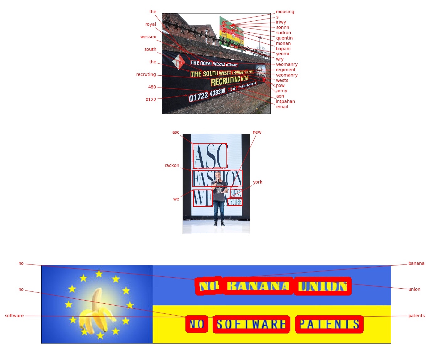 带标注的图像示例