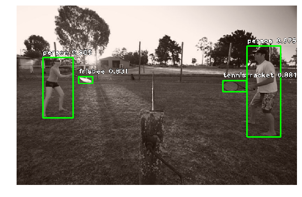 RetinaNet 在 MS COCO 上的示例结果