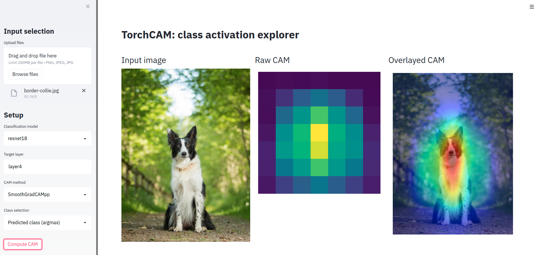 torch-cam hero image