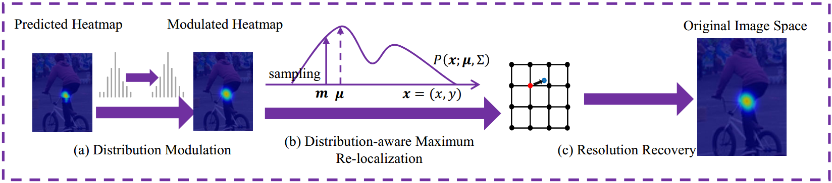 展示所提出的 DARK 架构