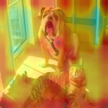 vit-explain hero image