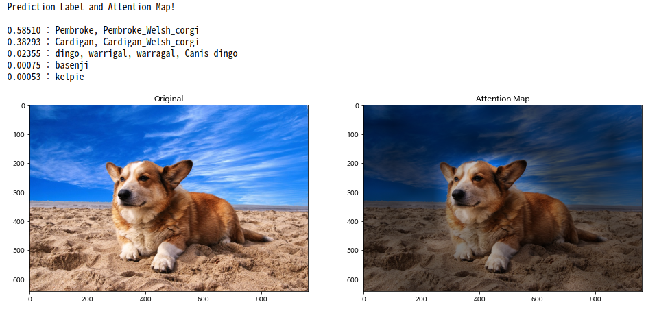 ViT-pytorch hero image
