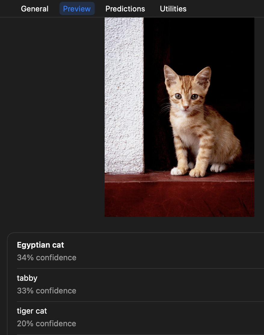 截图 2021-12-31 4 30 22