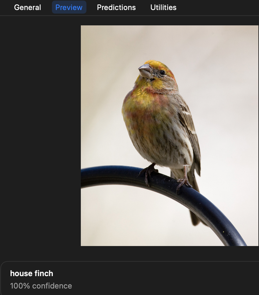 截图 2022-01-07 11 50 25