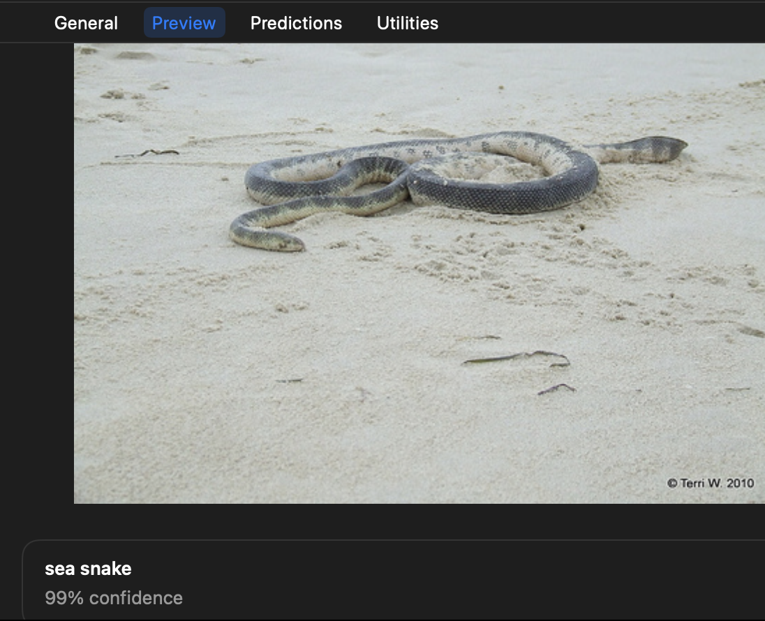 截图 2022-01-07 10 37 05