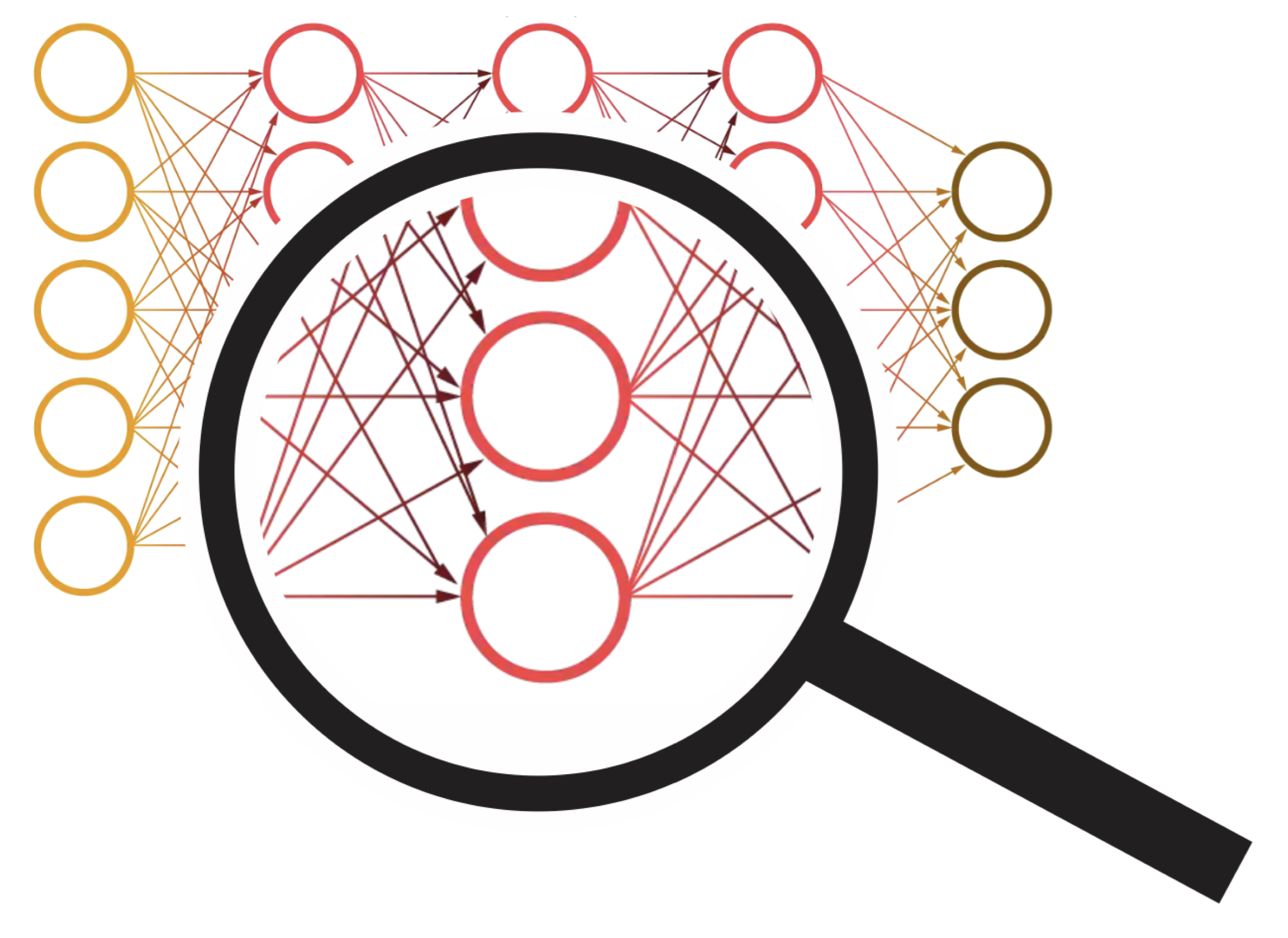 torchlens hero image