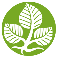 富尔达应用科学大学