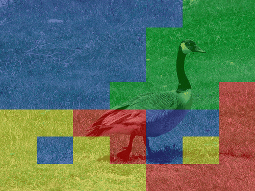 日落时分的大象