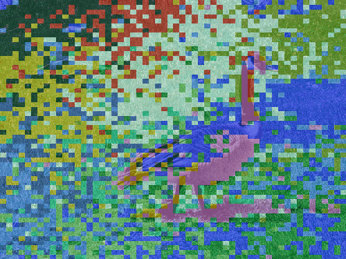 日落时分的大象