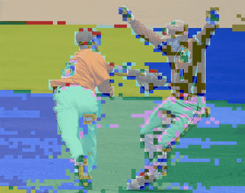 日落时分的大象