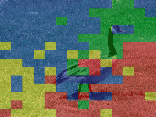 日落时分的大象