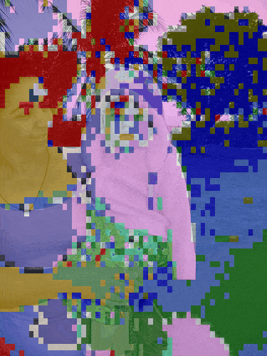 日落时分的大象