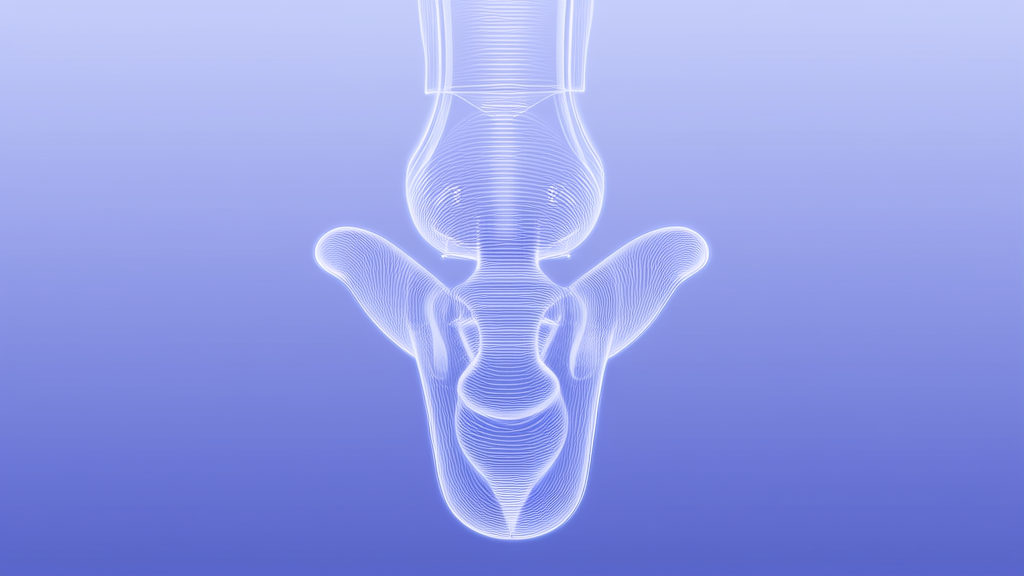 metavoice-src hero image