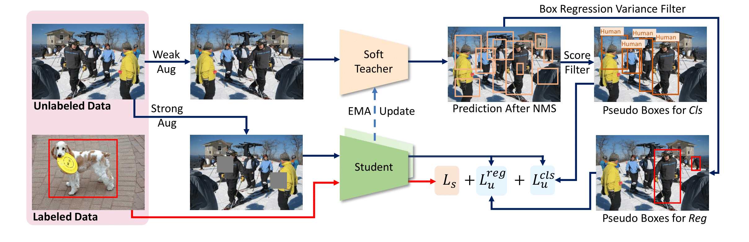 SoftTeacher hero image