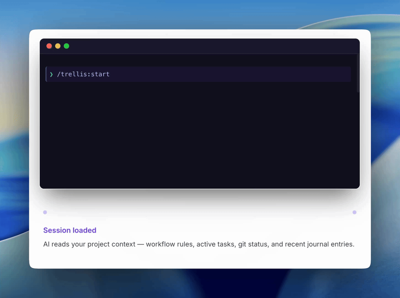 Trellis 工作流演示