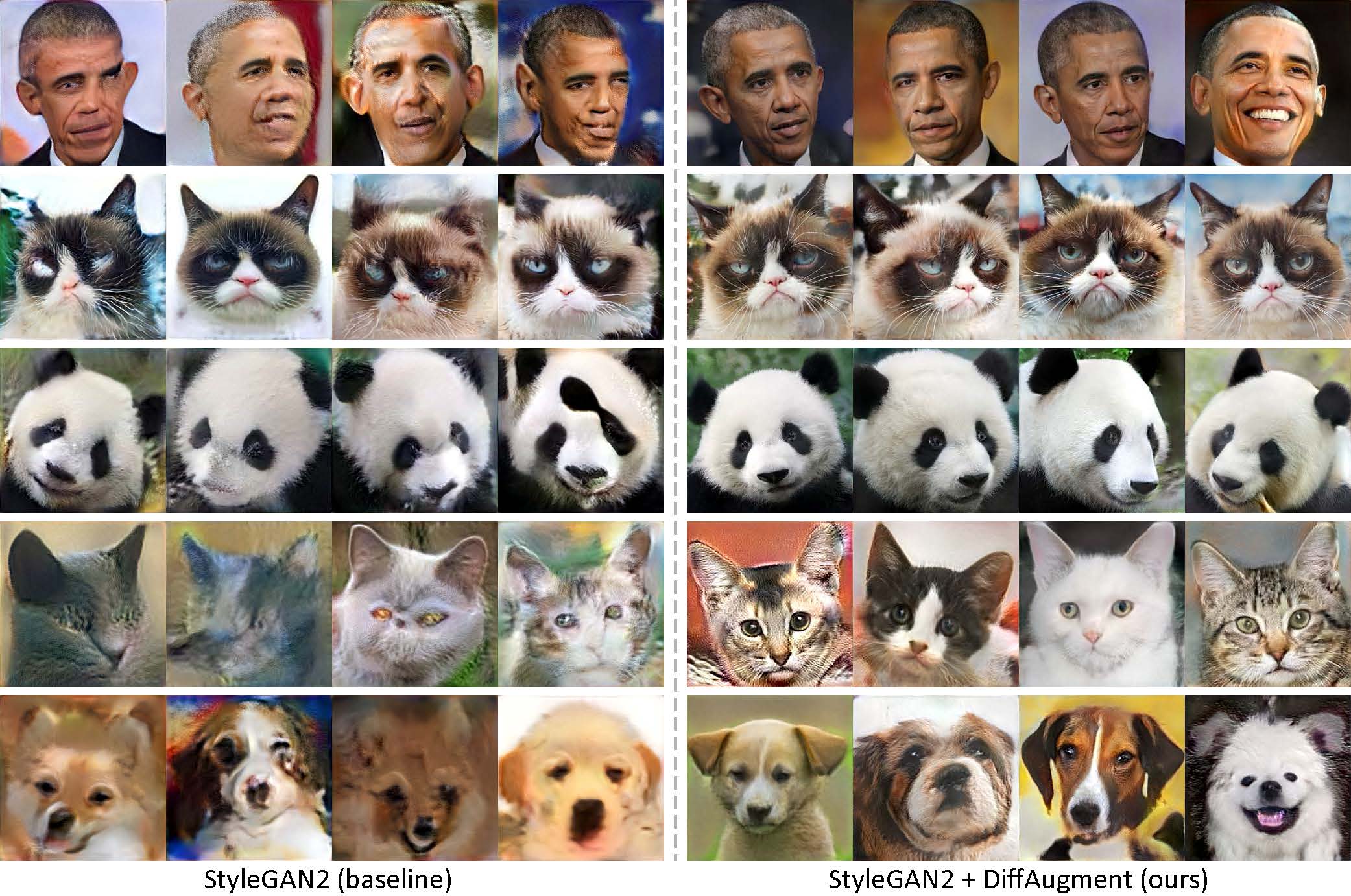 data-efficient-gans hero image