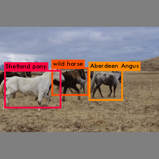 yolo-9000 hero image