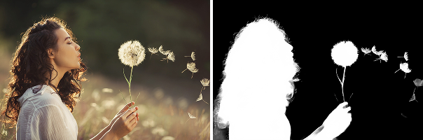 由 withoutBG 赞助